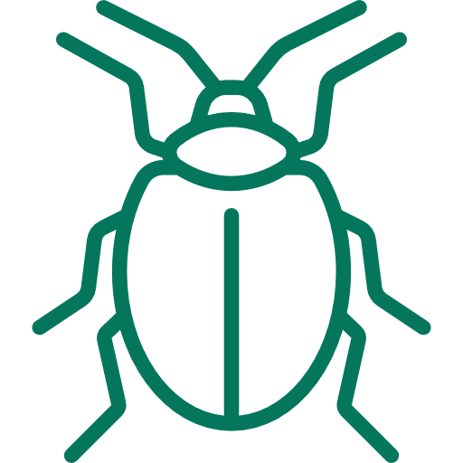 blatta scarafaggio