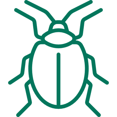 blatta scarafaggio