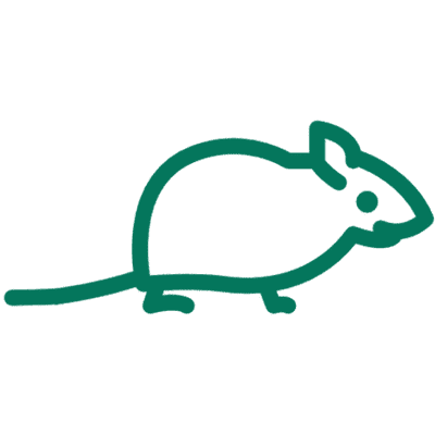 Grafica vettoriale scalabile