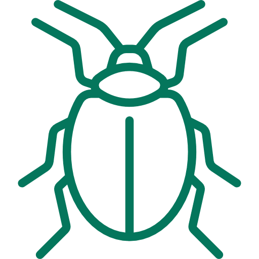 blatta scarafaggio